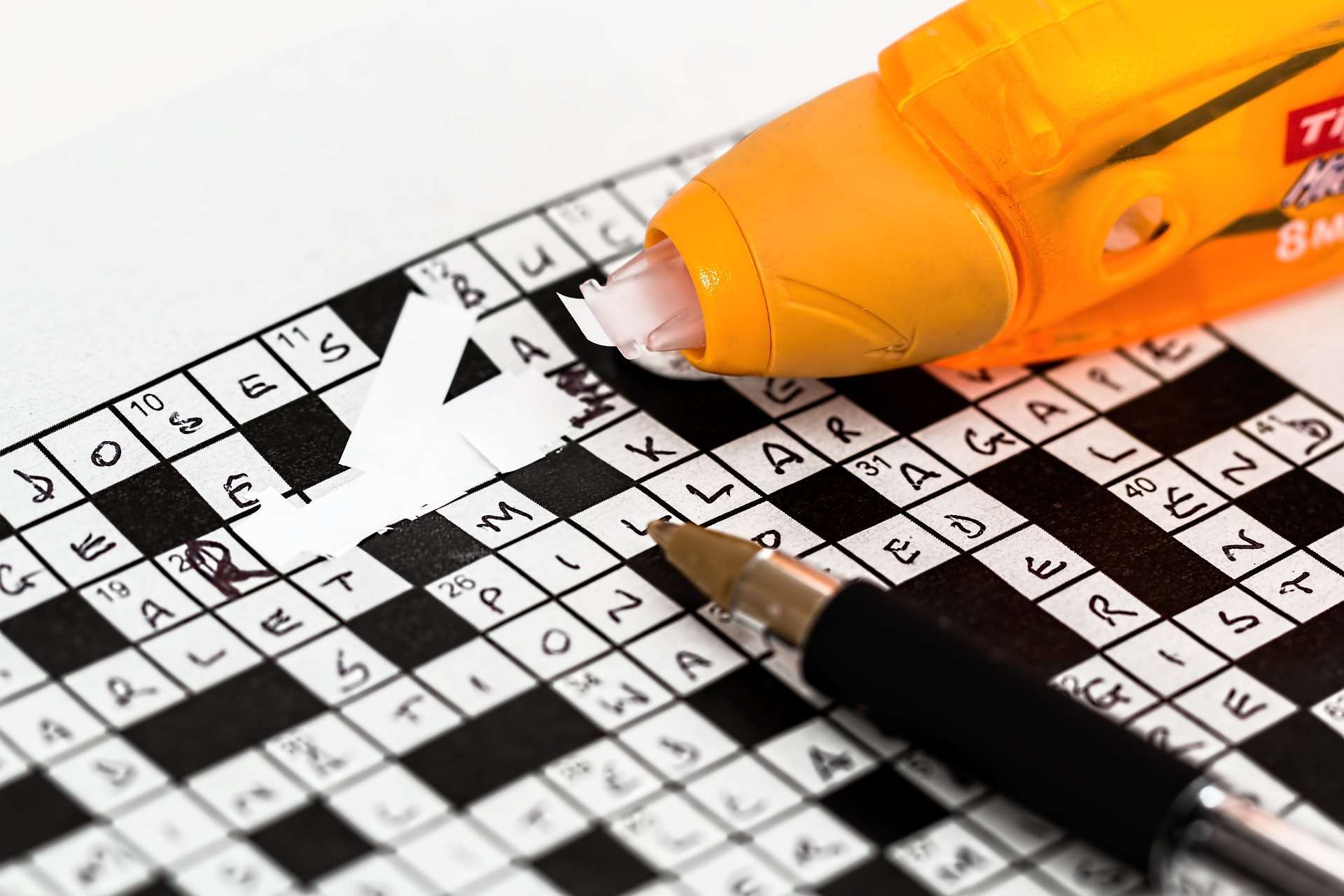 crossword puzzle books for adults with dementia
